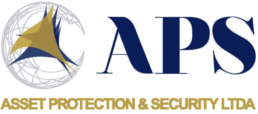 APS GROUP — Protección de activos y seguridad